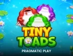 Tiny Toads